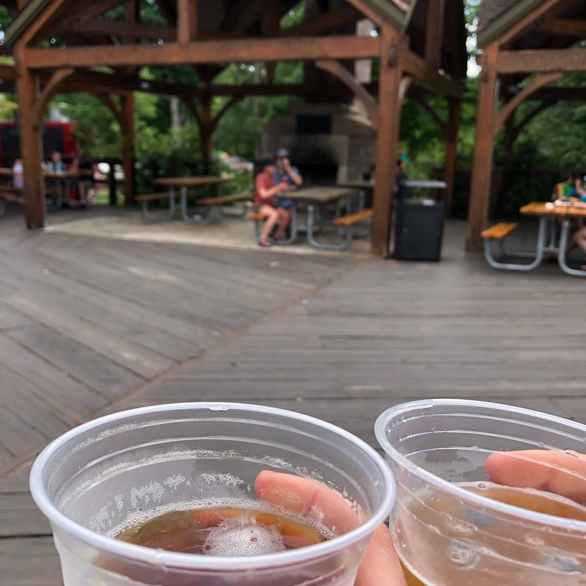 Stopped at tahquamenon falls brewery to pregame a little hiking! 

#tahquamenonfalls #brewery #upperpeninsulamichigan #michiganwild #puremichigan #travel #adventure